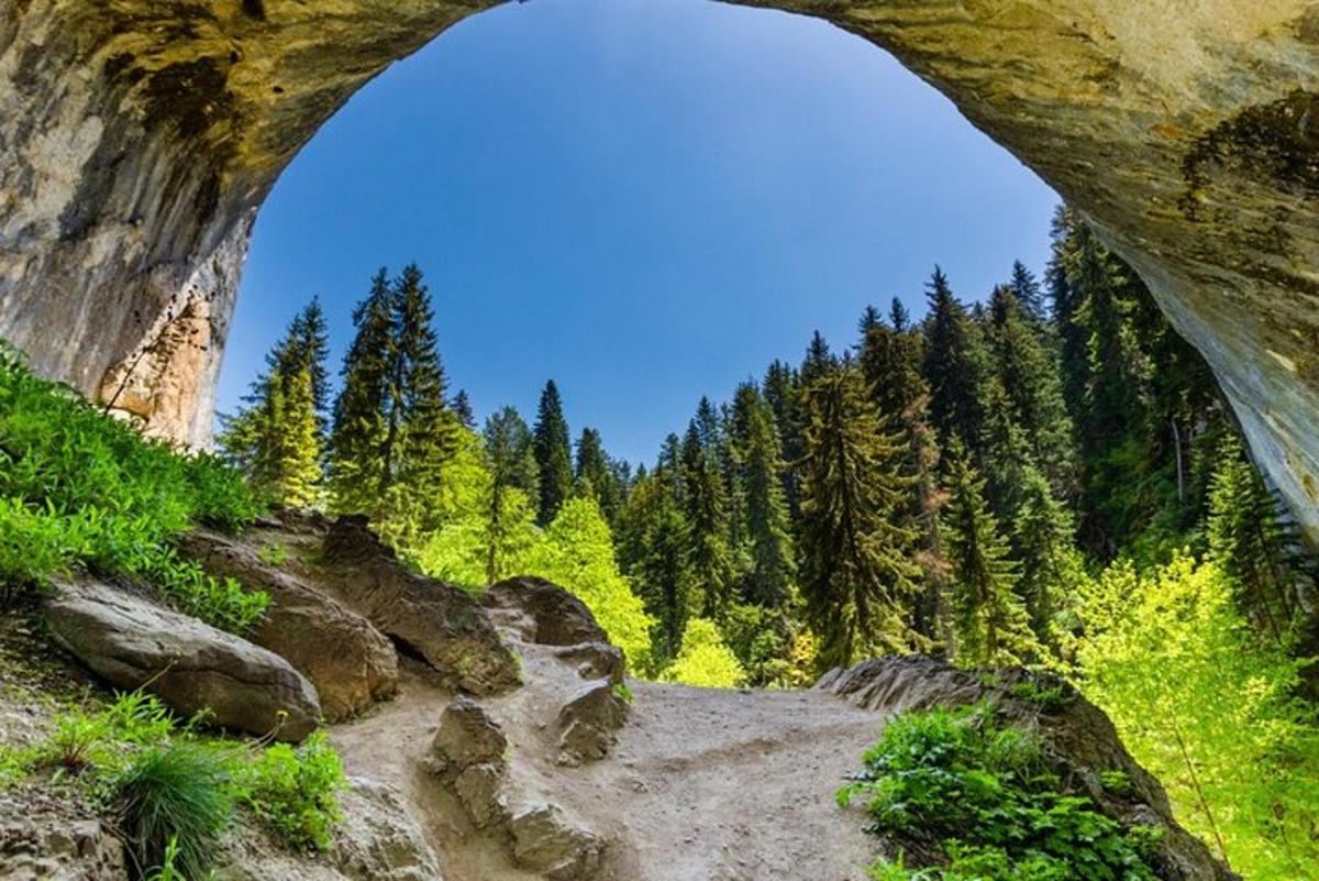 a view from under a rock arch in a forest