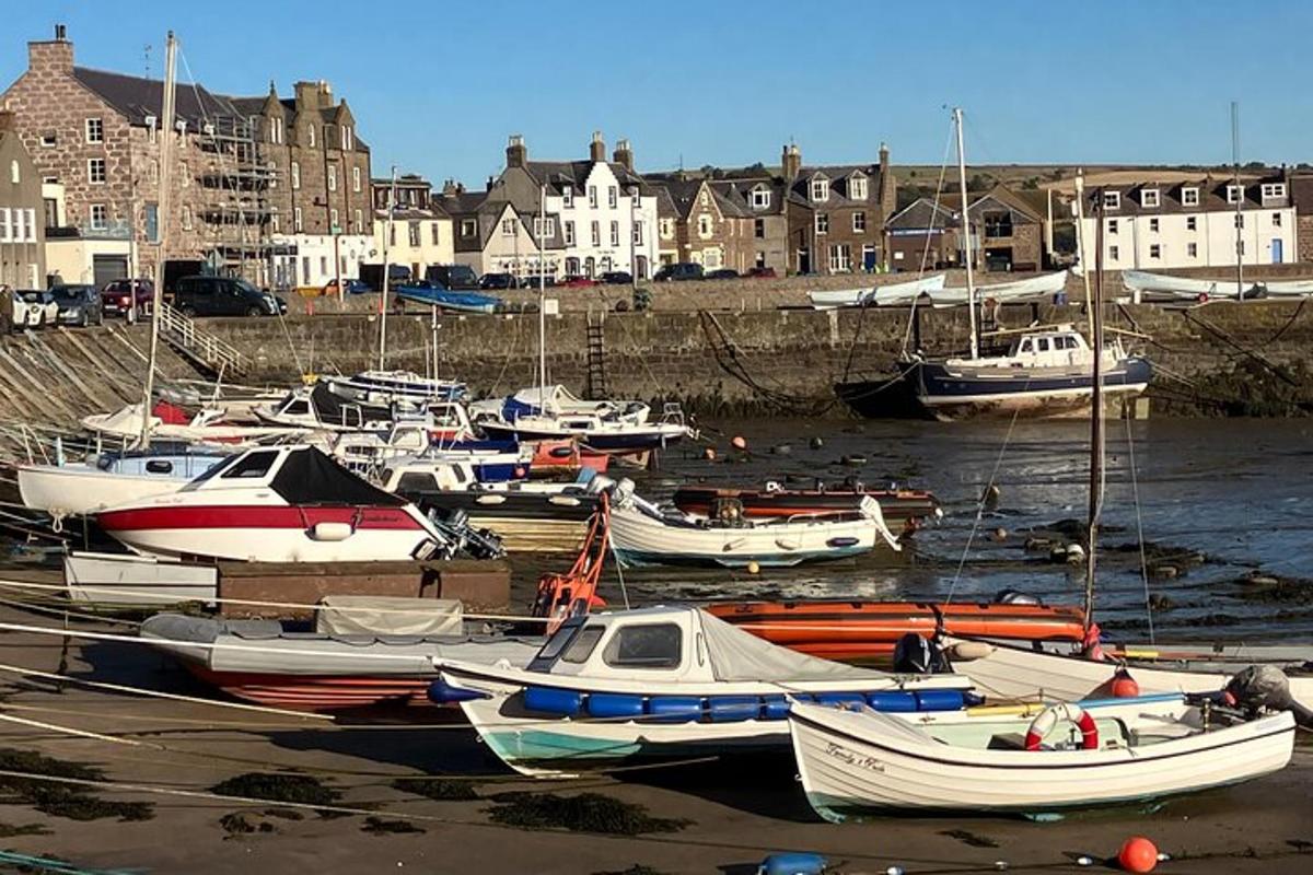 a bunch of boats are docked in a harbor