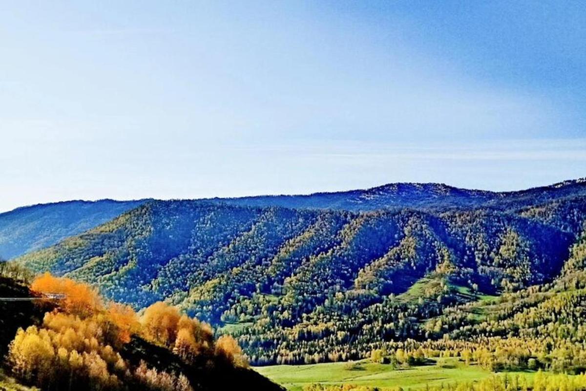 pohled na horu se stromy v dálce