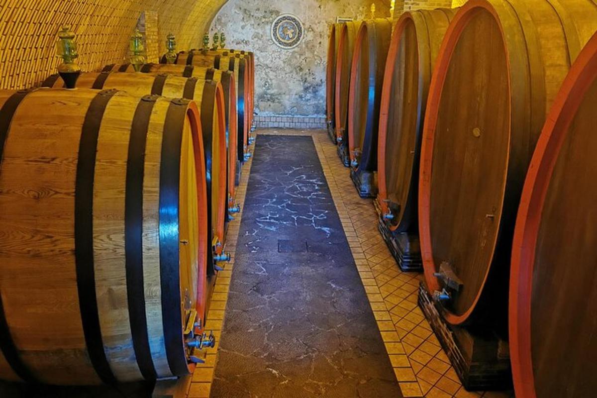 una fila di botti di vino in una cantina
