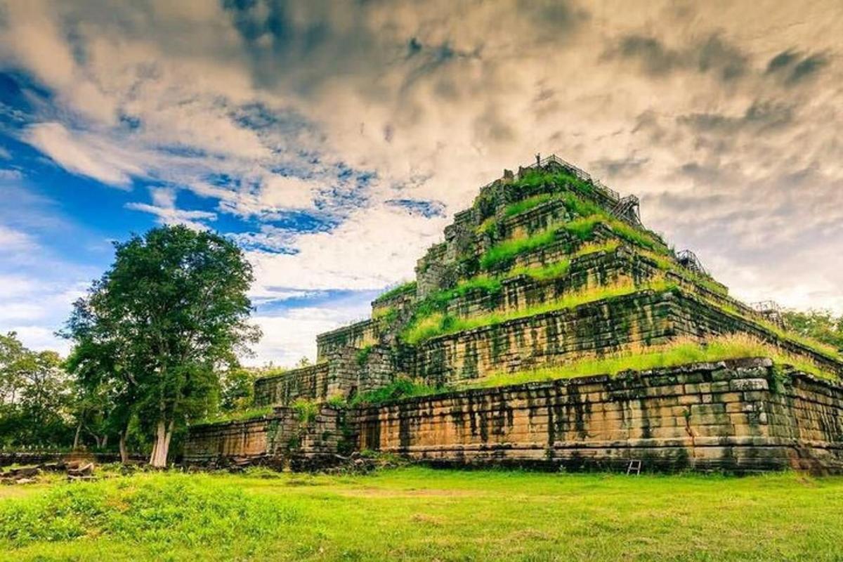 một tòa nhà lớn có một cái cây trên cánh đồng