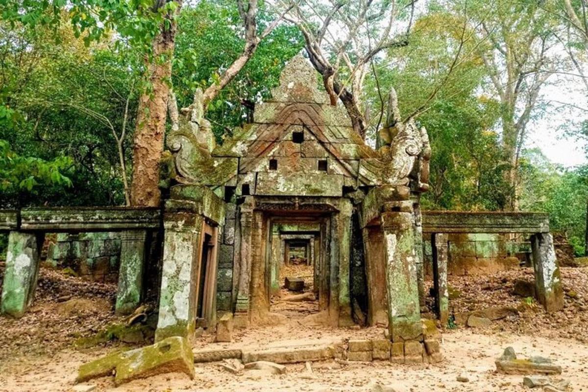 một ngôi nhà cũ giữa rừng