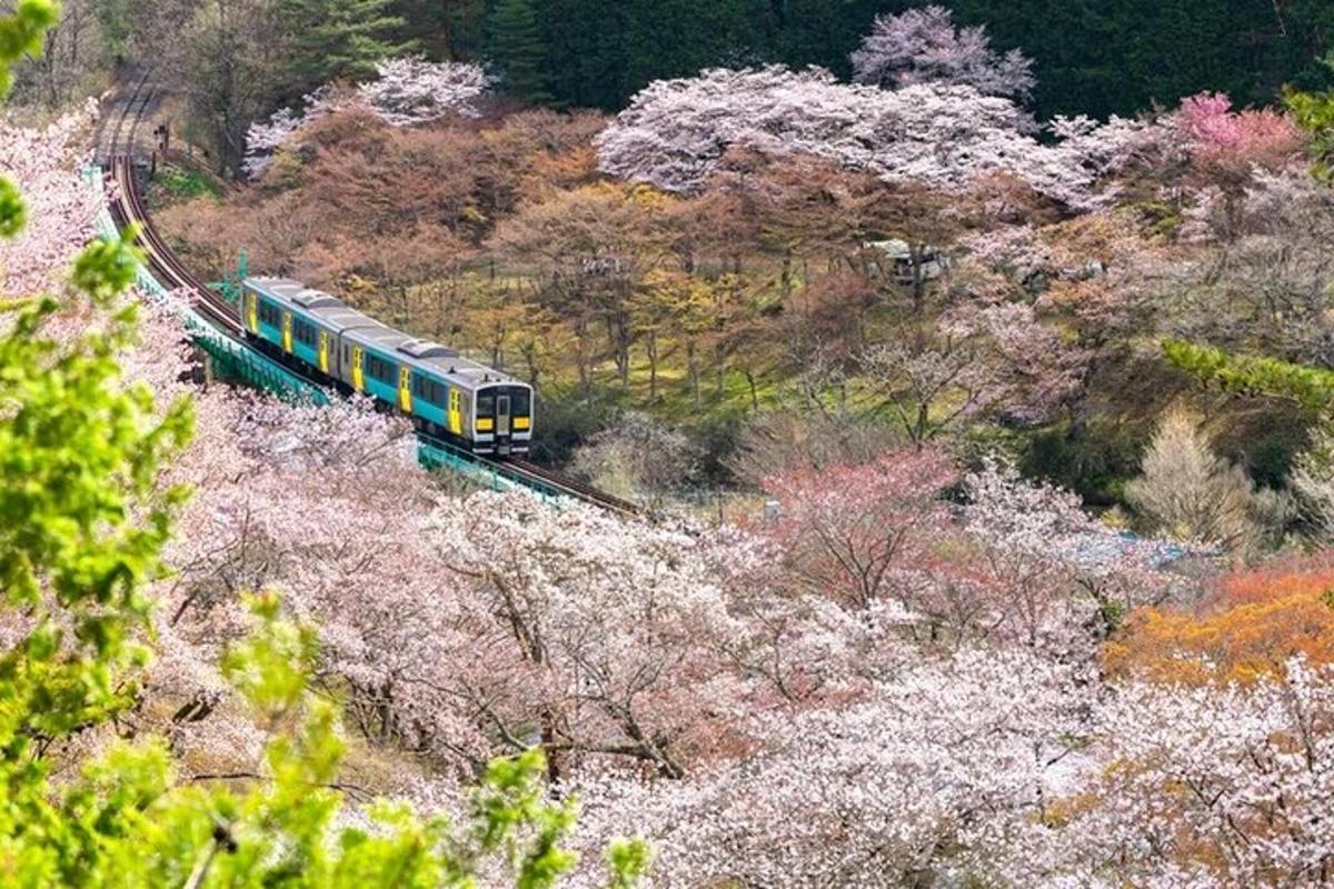 a train on the tracks in a forest with trees