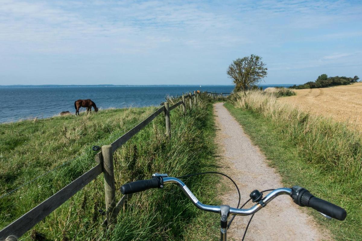 a bike parked next to a fence with a horse grazing