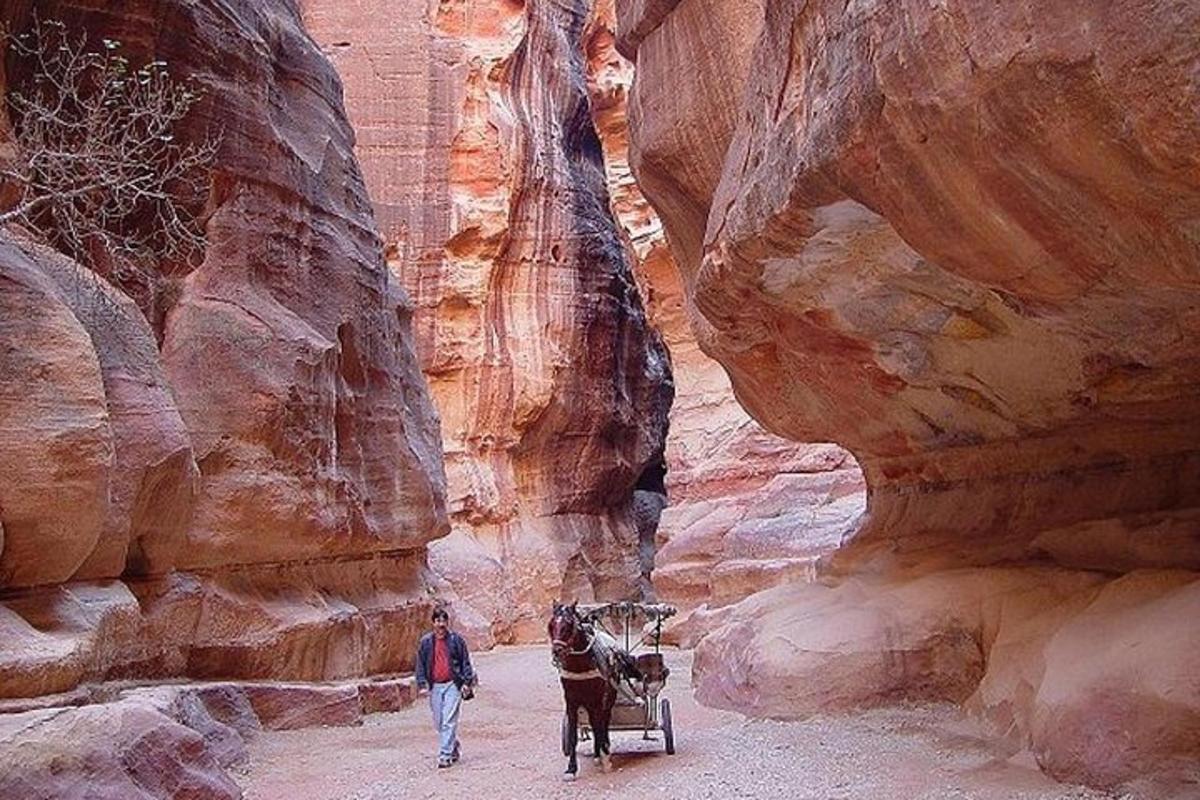 a man walking through a canyon with a horse drawn carriage