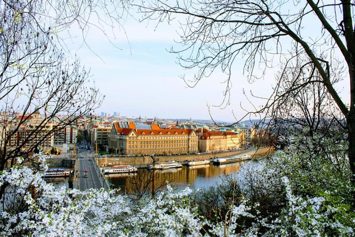 una vista di un fiume con barche in una città