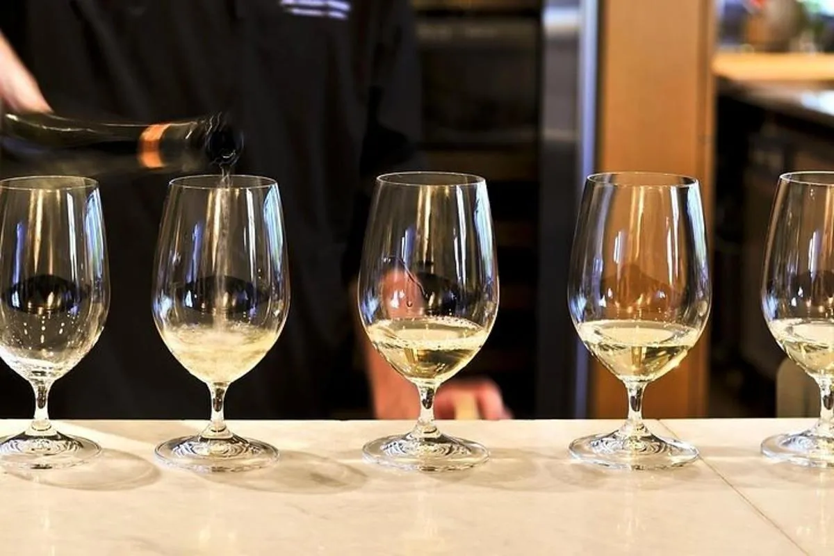 De Bâle : Marché de Noël de Colmar & Dégustation de Vins en Petit Groupe – photo 4