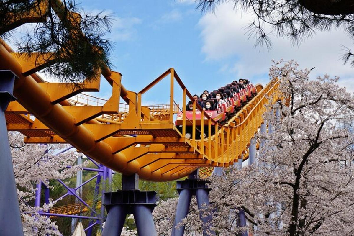 a roller coaster ride in a park with cherry trees