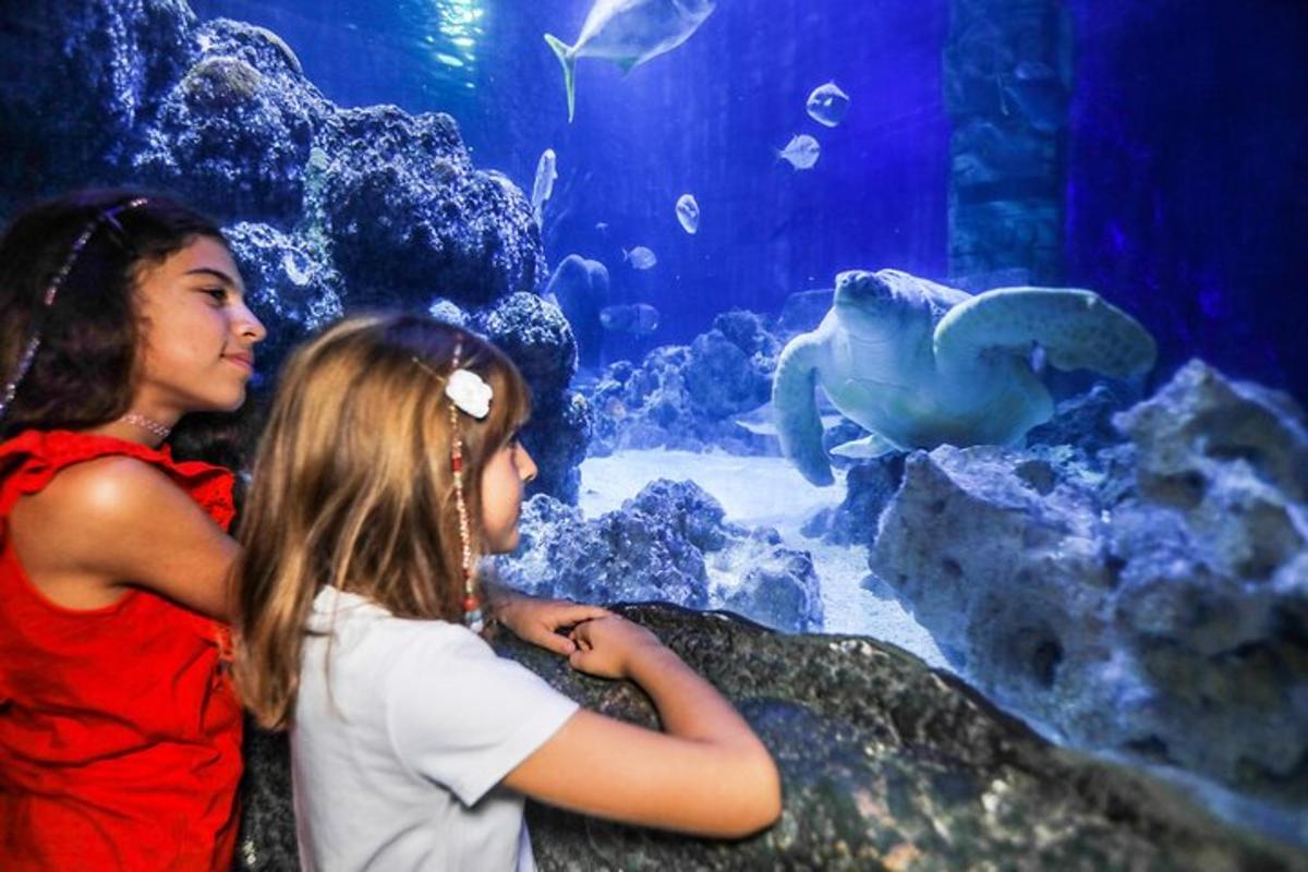 two young girls looking at a fish in an aquarium