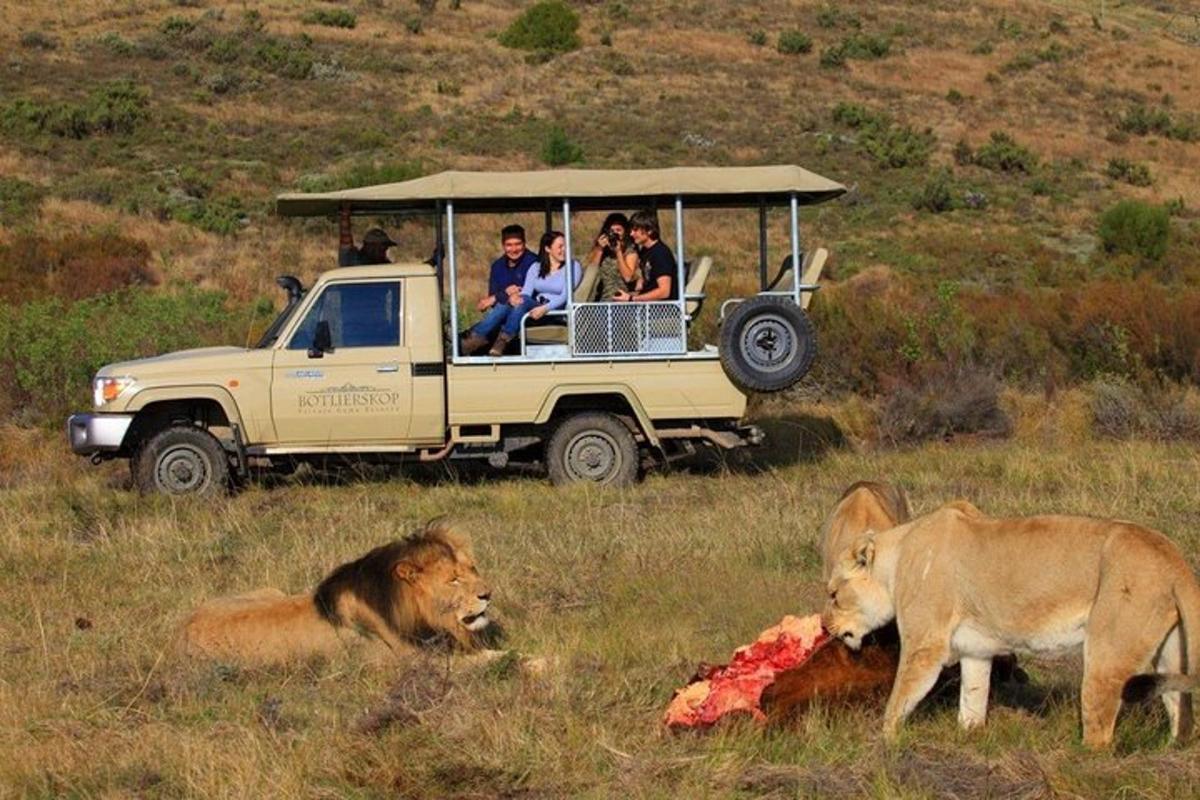 sekumpulan orang dalam kenderaan safari dengan haiwan mati