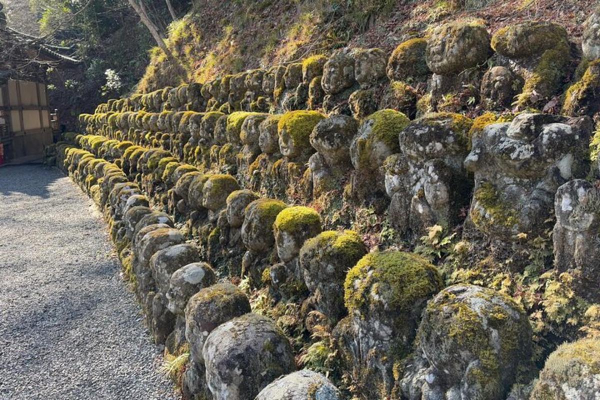 a row of moss covered rocks on a hill