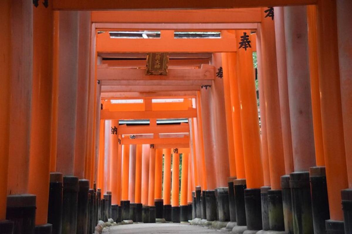uma fileira de portões torii laranja em um edifício
