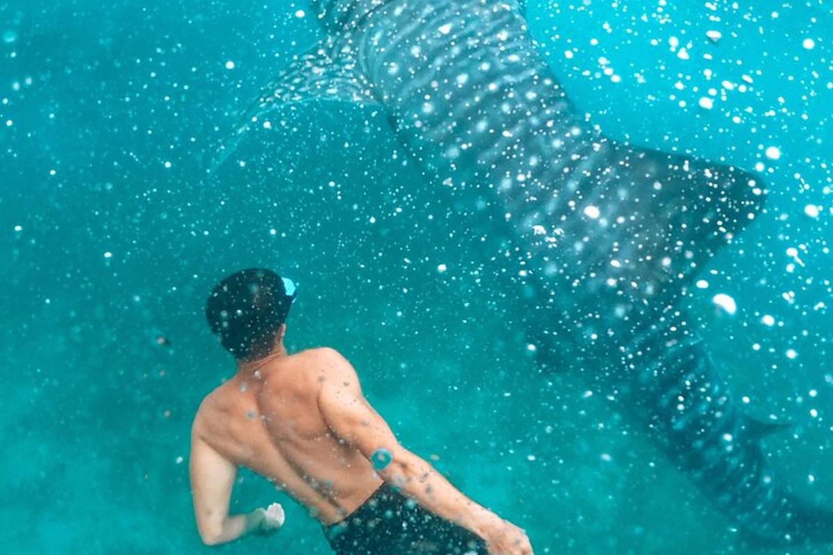 un home nedant a l'aigua de l'oceà