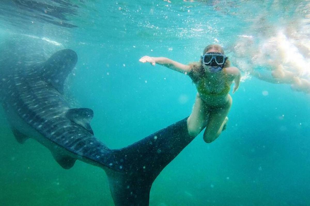 una dona nedant al costat d'una tortuga marina a l'aigua
