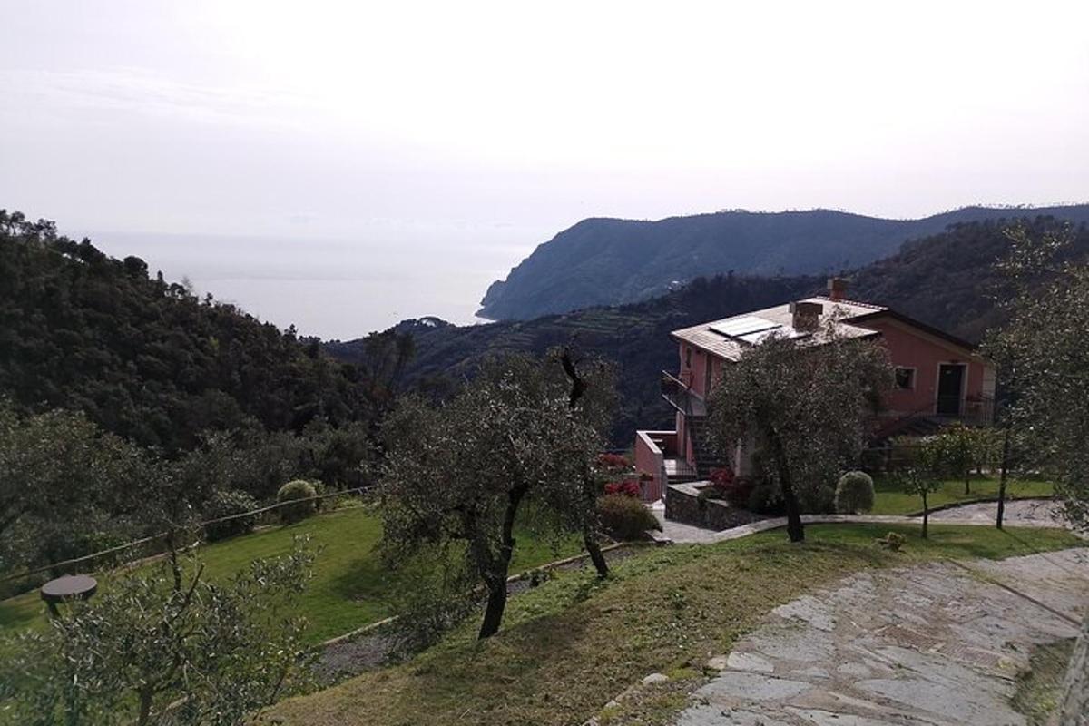 sebuah rumah di atas bukit dengan pemandangan lautan