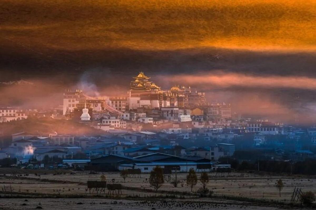 a view of a city with a pagoda