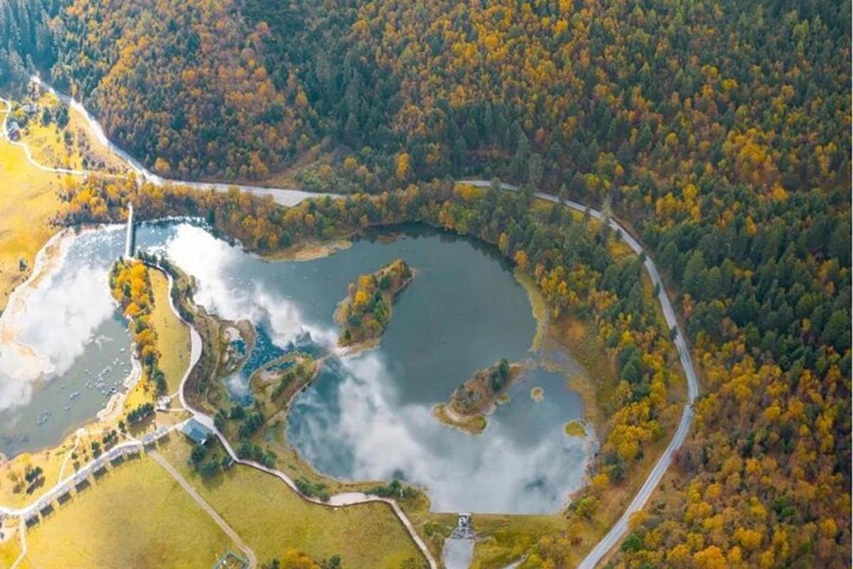 an aerial view of a lake in a forest
