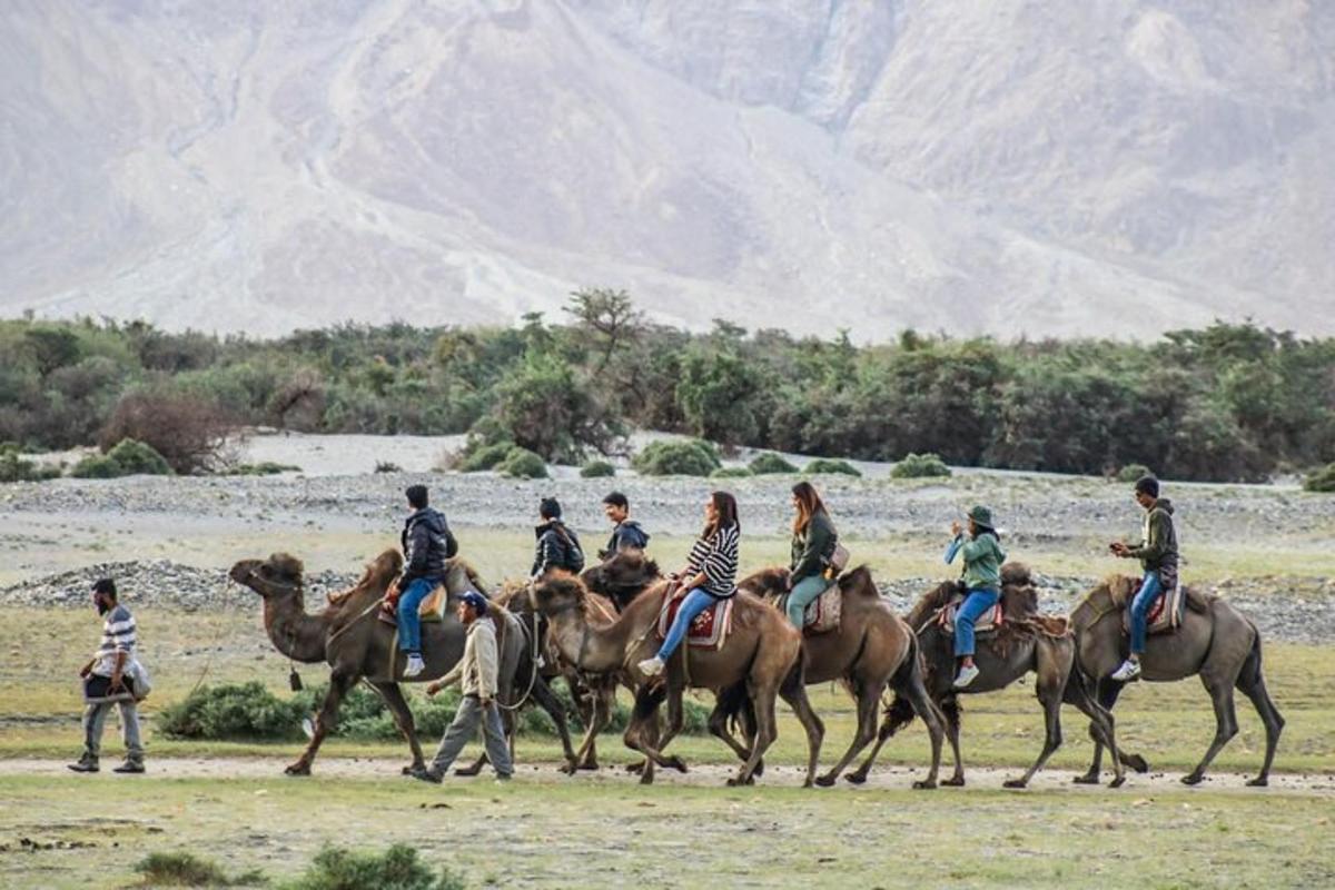 um grupo de pessoas cavalgando em um campo
