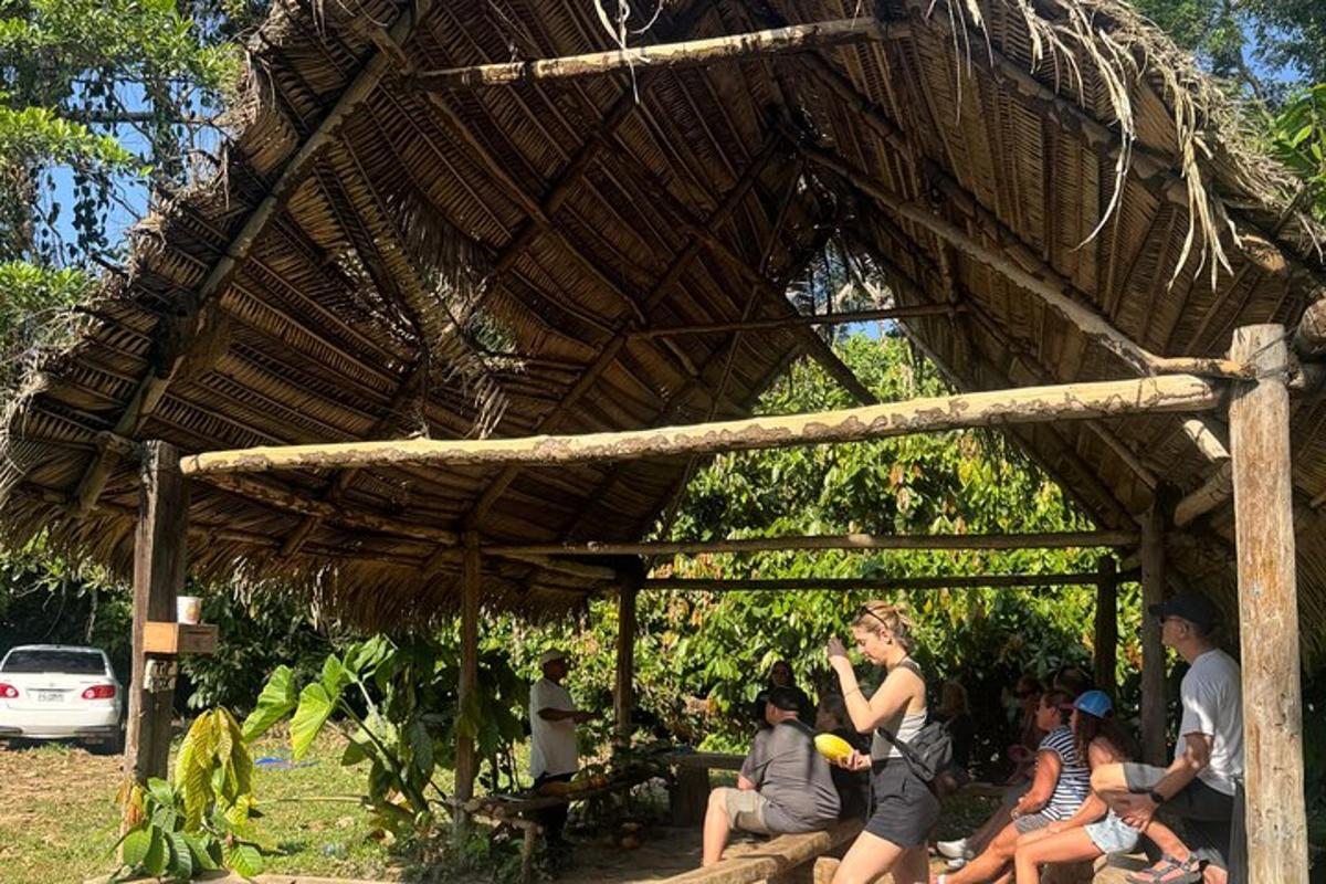 a group of people sitting under a straw roof