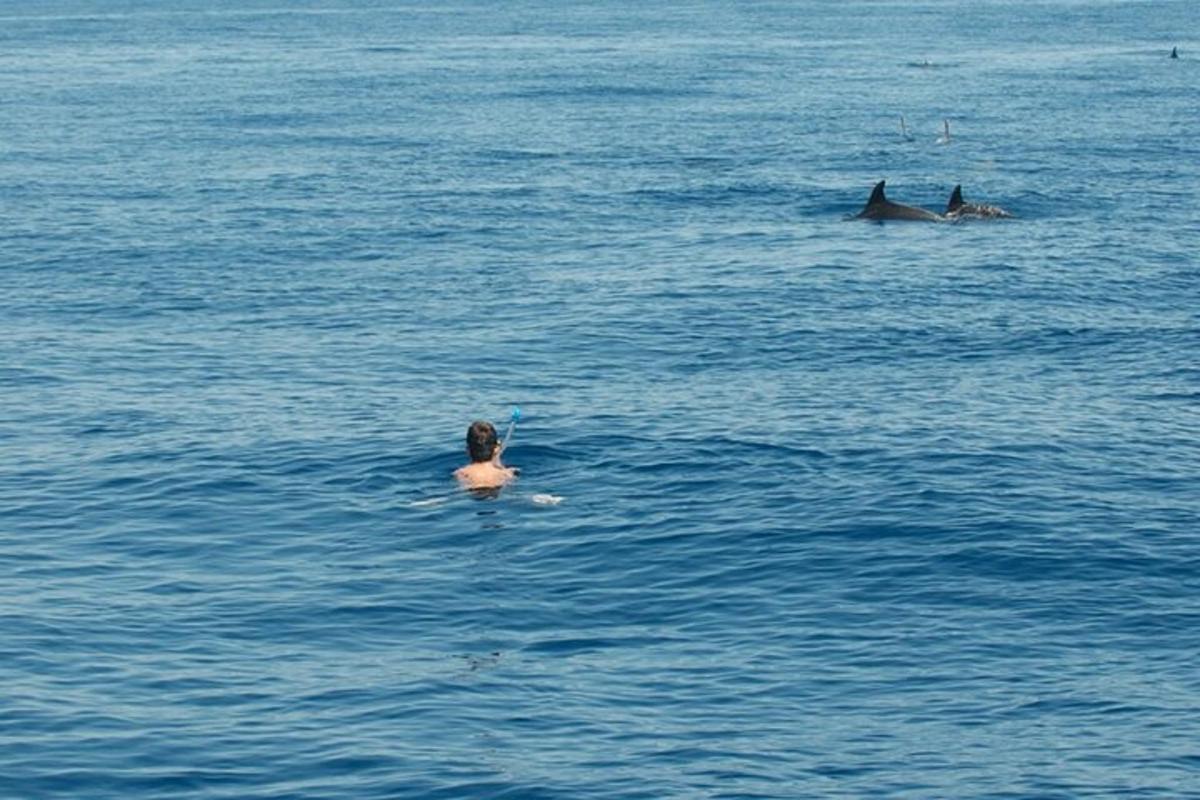 Un hombre en el agua con un delfín en el océano.