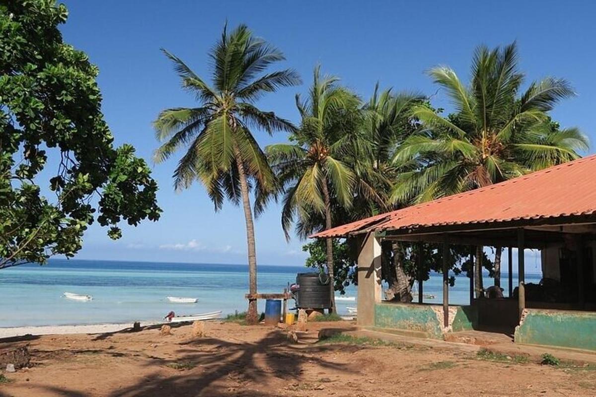 sebuah rumah di pantai dengan pokok palma dan lautan