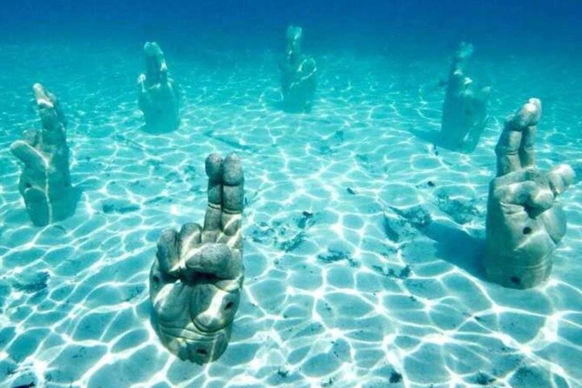 группа людей в воде с поднятыми руками