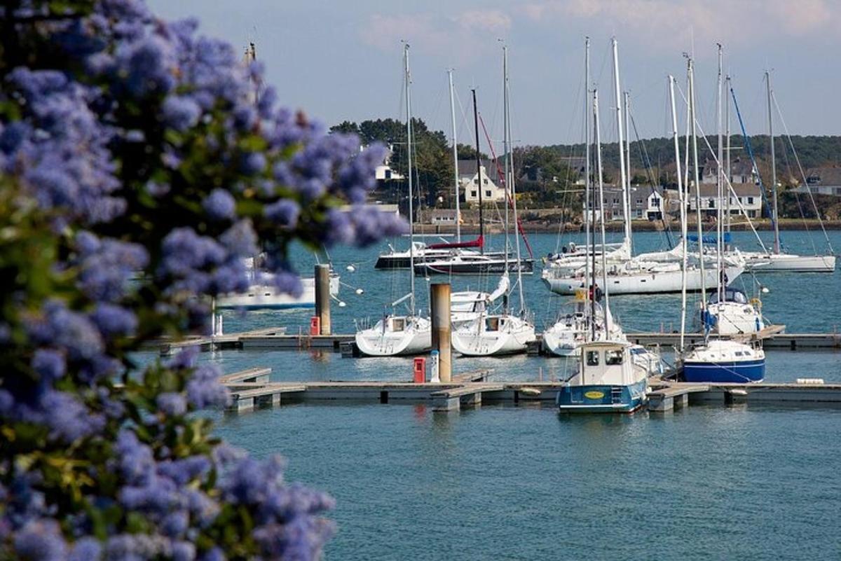 a bunch of boats docked at a marina with purple flowers