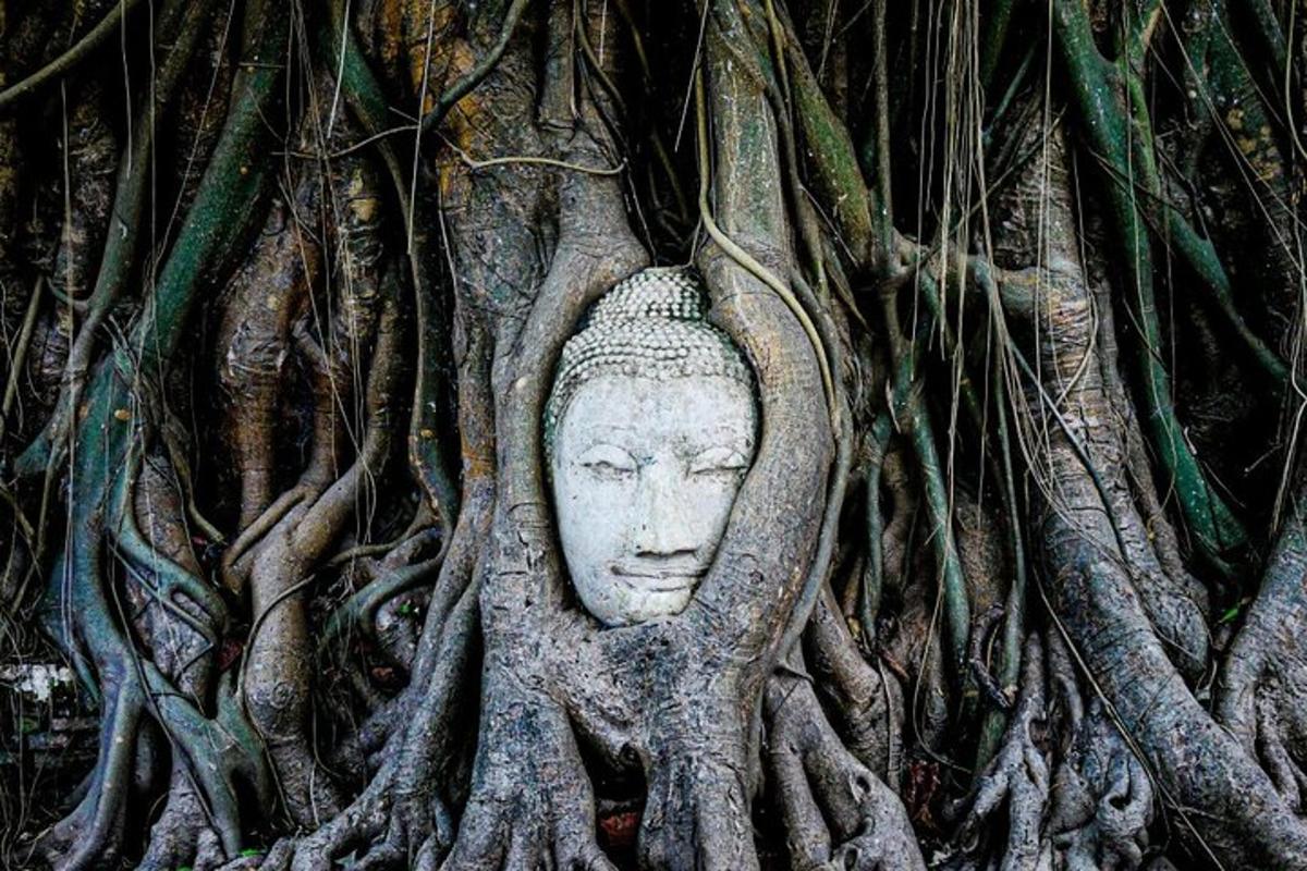 ภาพถ่ายสิ่งที่น่าสนใจภาพที่ 7