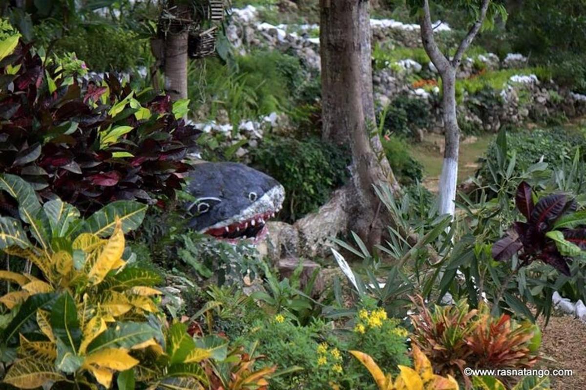 una statua di una testa di squalo in un giardino