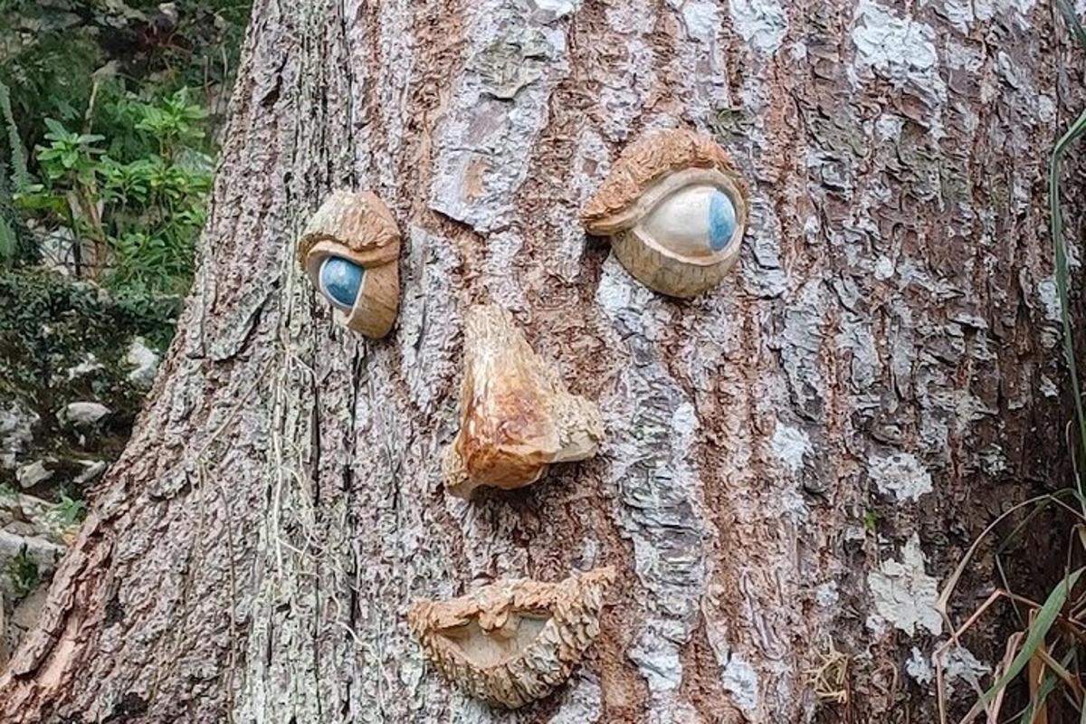 un albero con degli occhi su un lato