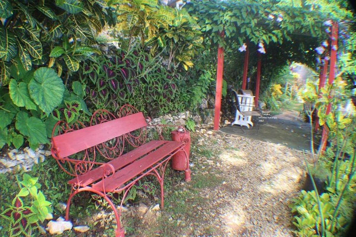 Un banco de parque rojo en un jardín.