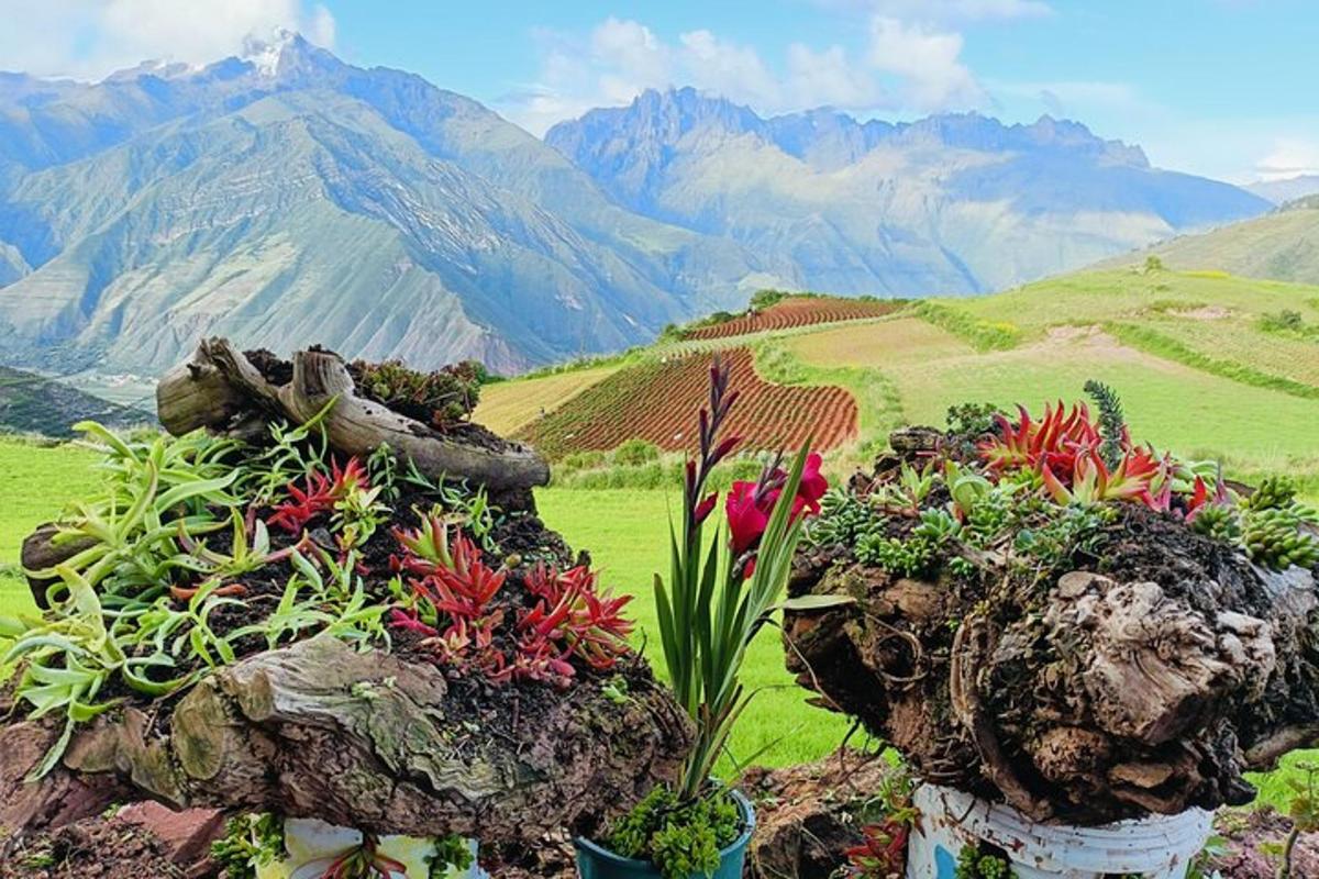 dua pasu berisi bunga di atas sebuah gunung