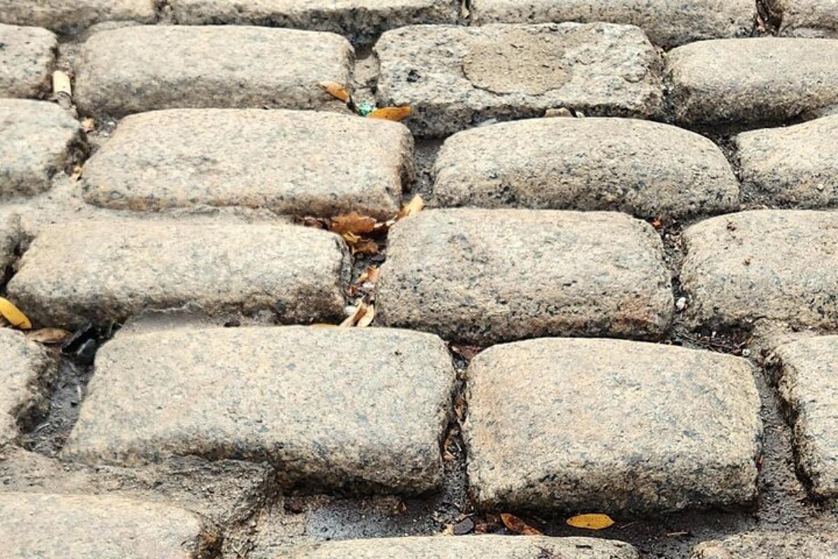 sekumpulan batu kelabu di atas tanah