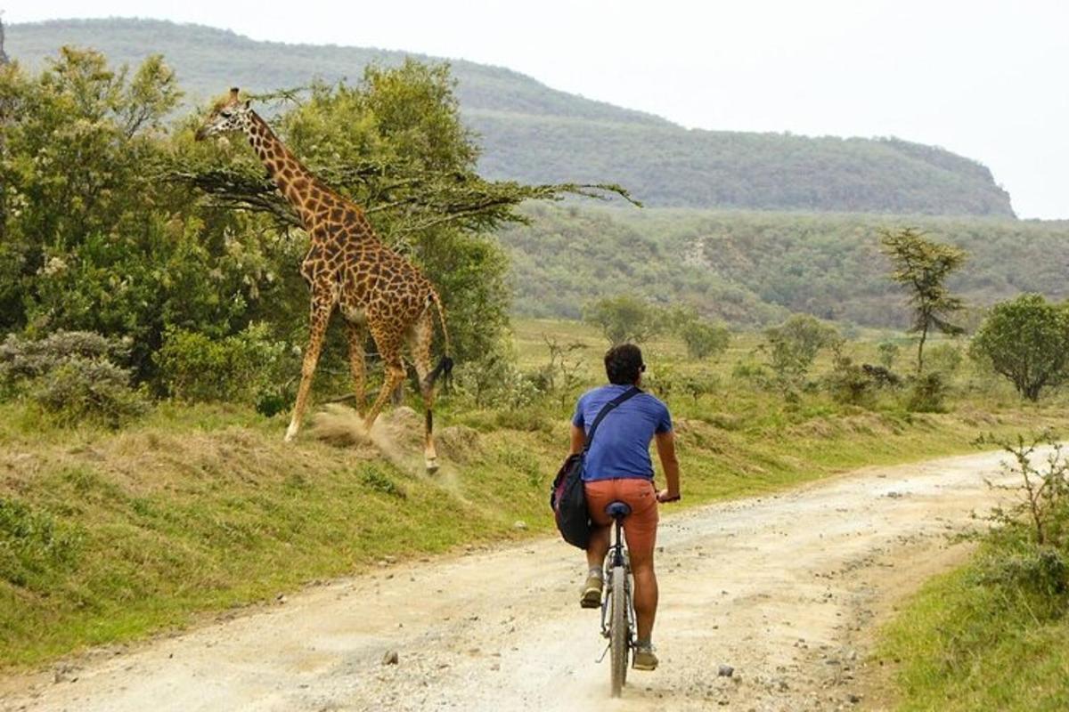 a person riding a bike on a dirt road with a giraffe