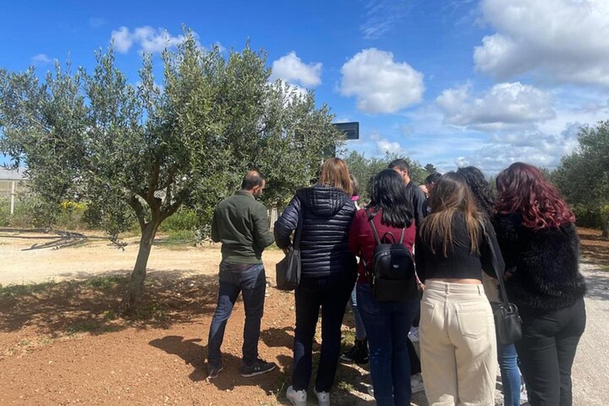 a group of people standing next to a tree