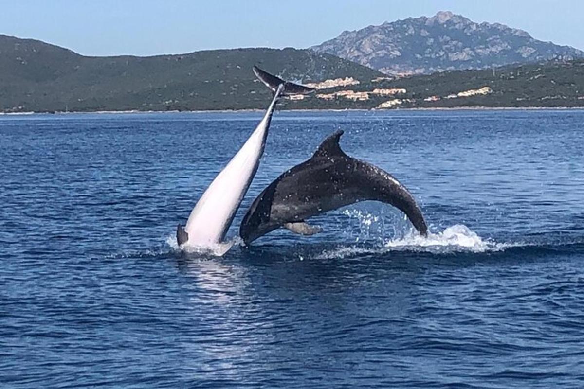 Foto dell’attrazione numero 1