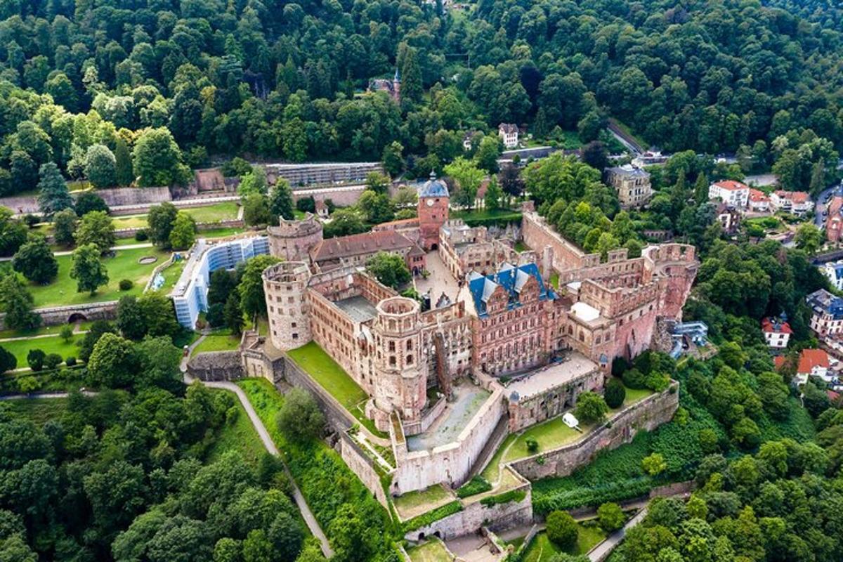 Letecký pohled na velký hrad se stromy