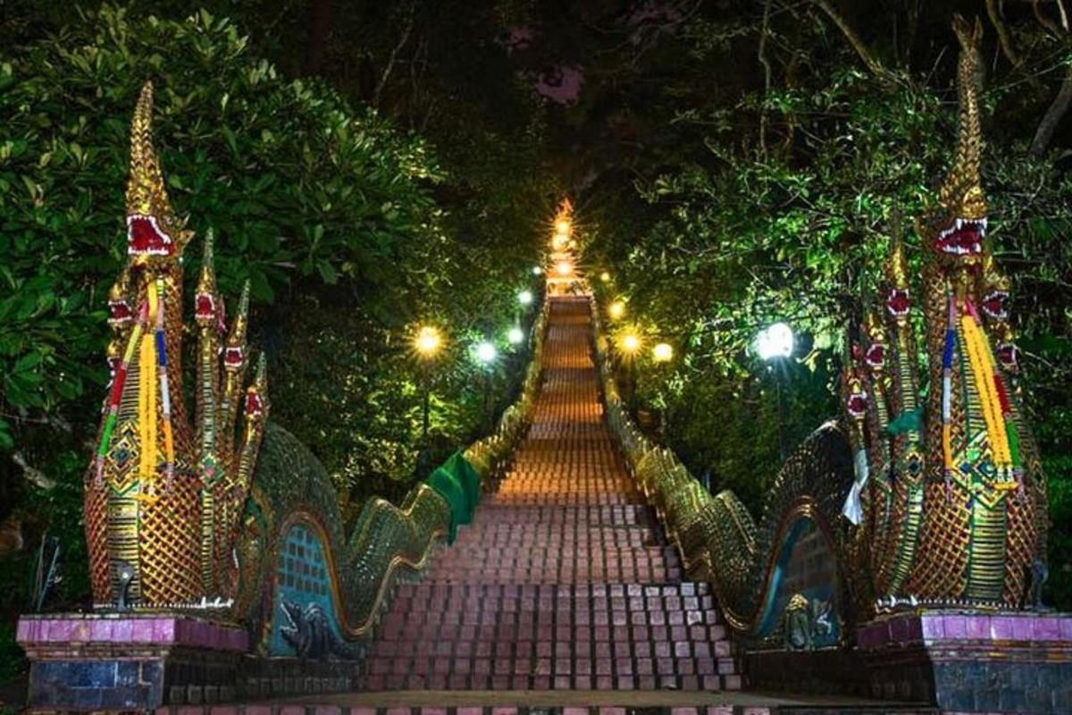 laluan pejalan kaki di taman pada waktu malam dengan lampu