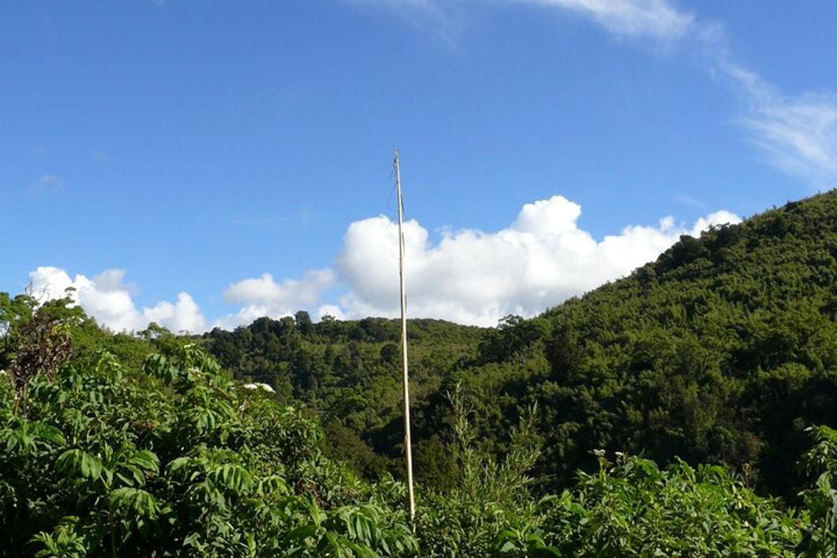a pole in the middle of a hill with trees