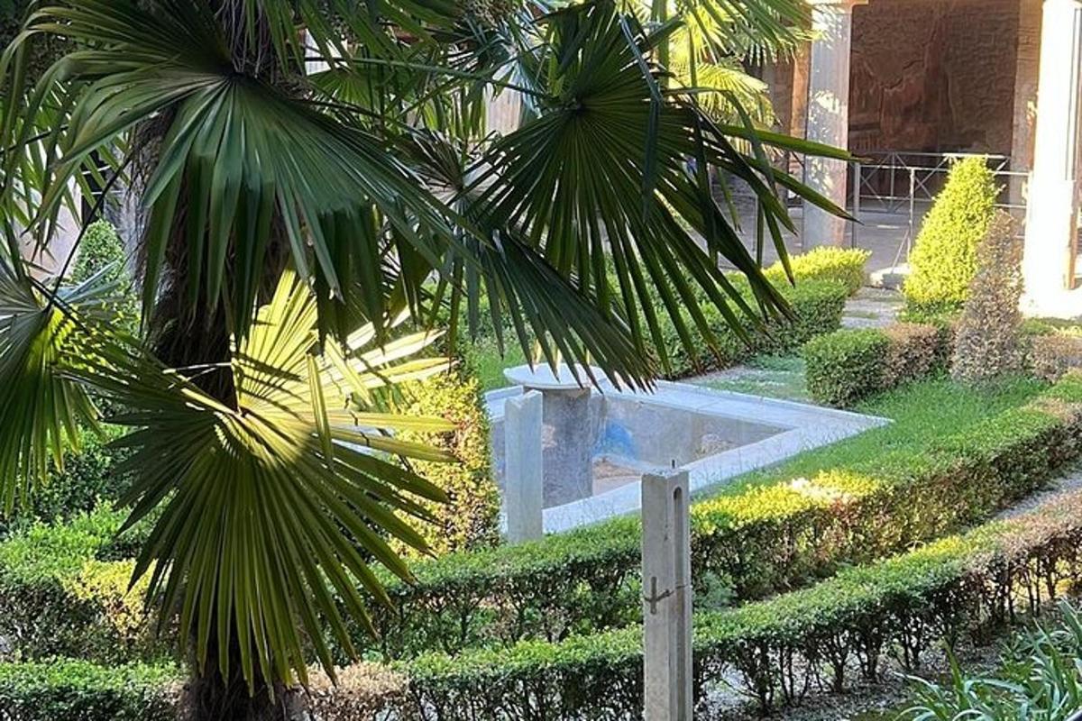 palma in vodnjak na vrtu