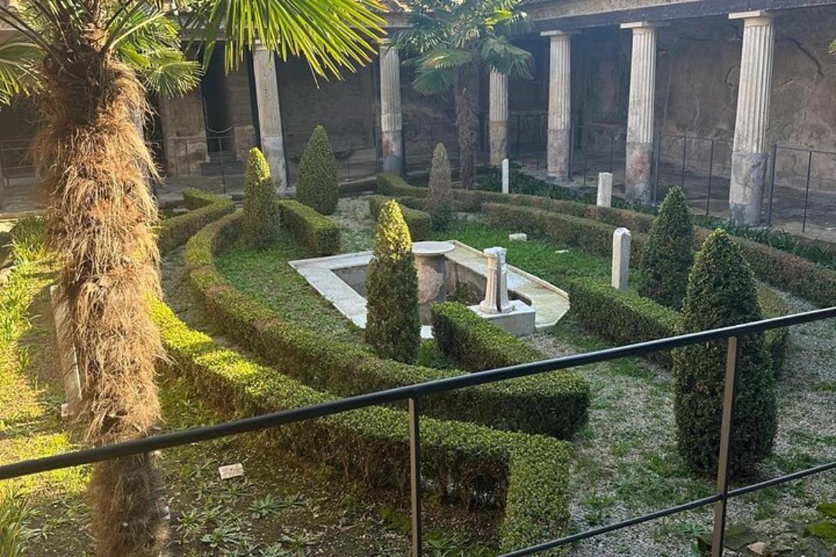 un giardino con cespugli e alberi in un edificio