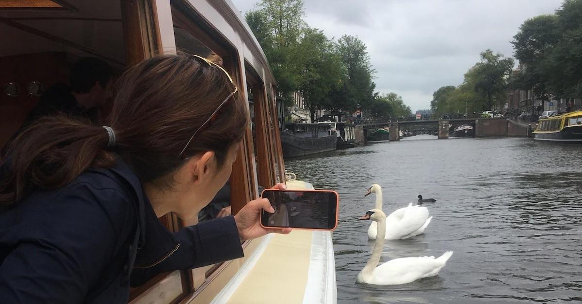 a woman taking a picture of swans on a boat