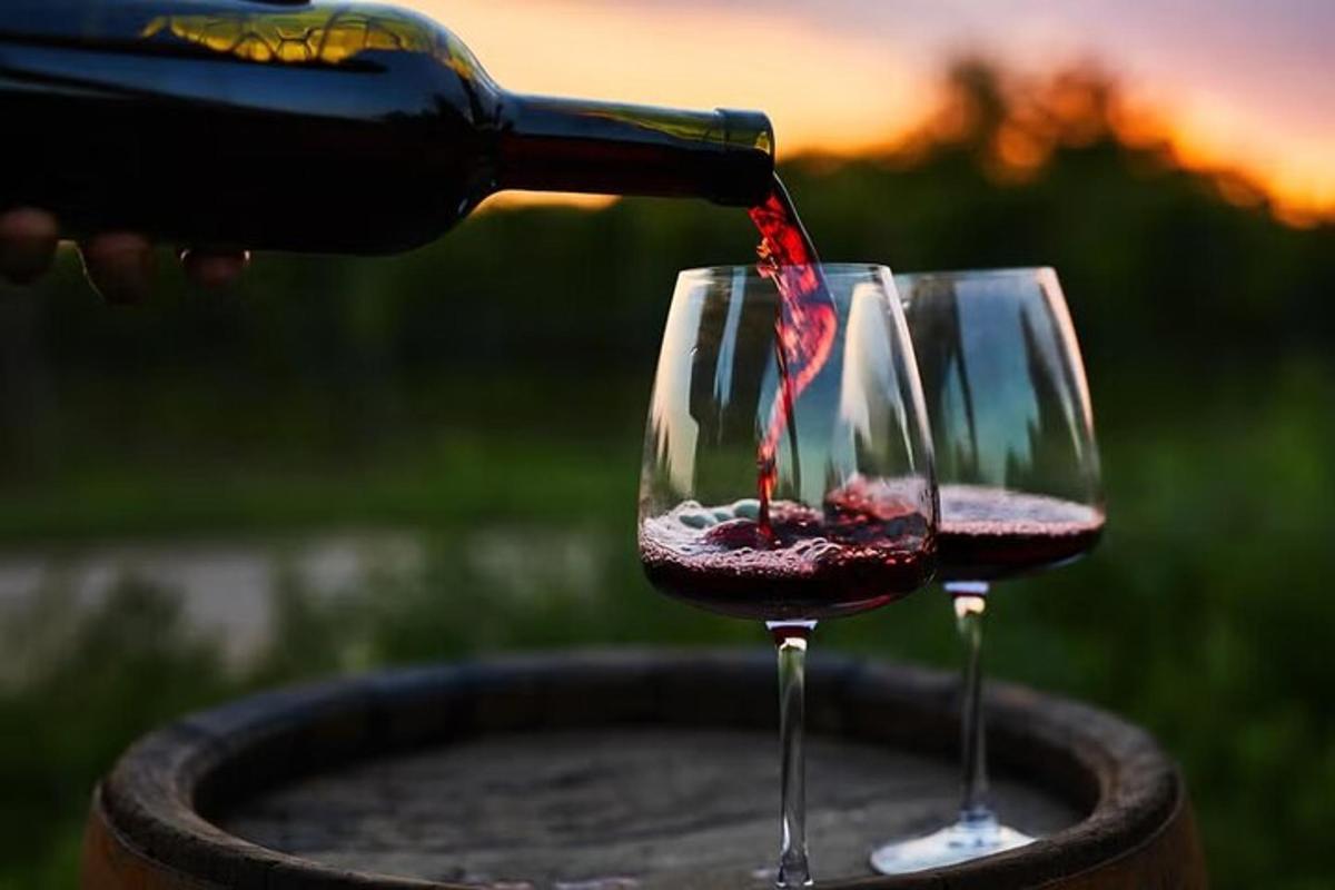 uma pessoa despejando vinho tinto em duas taças de vinho