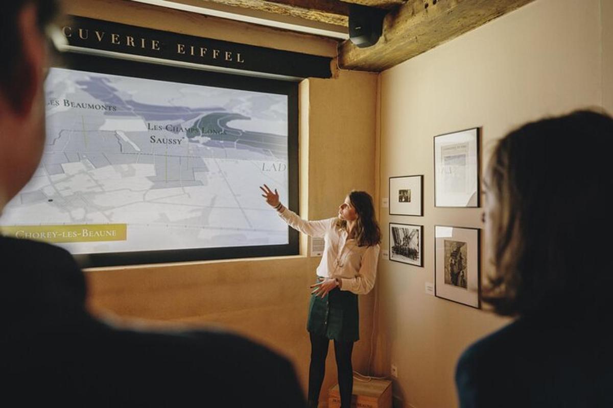 a woman giving a presentation in front of a screen