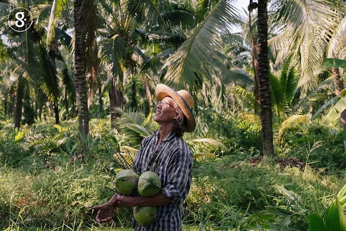 seorang wanita sedang memegang setandan kelapa