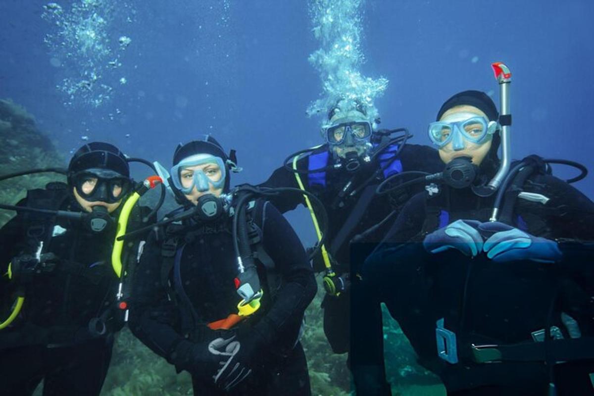 un grup de oameni în echipament de scufundări în apă