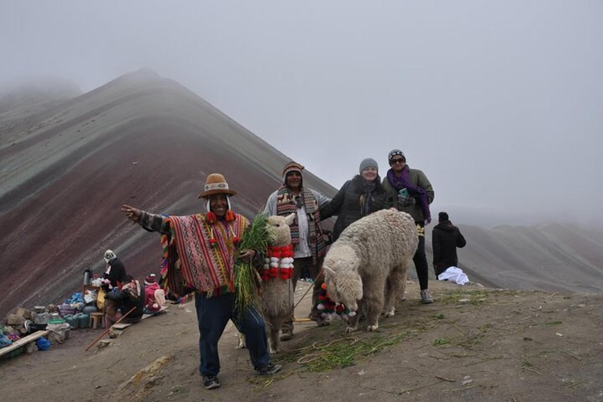 a group of people walking on a mountain with sheep