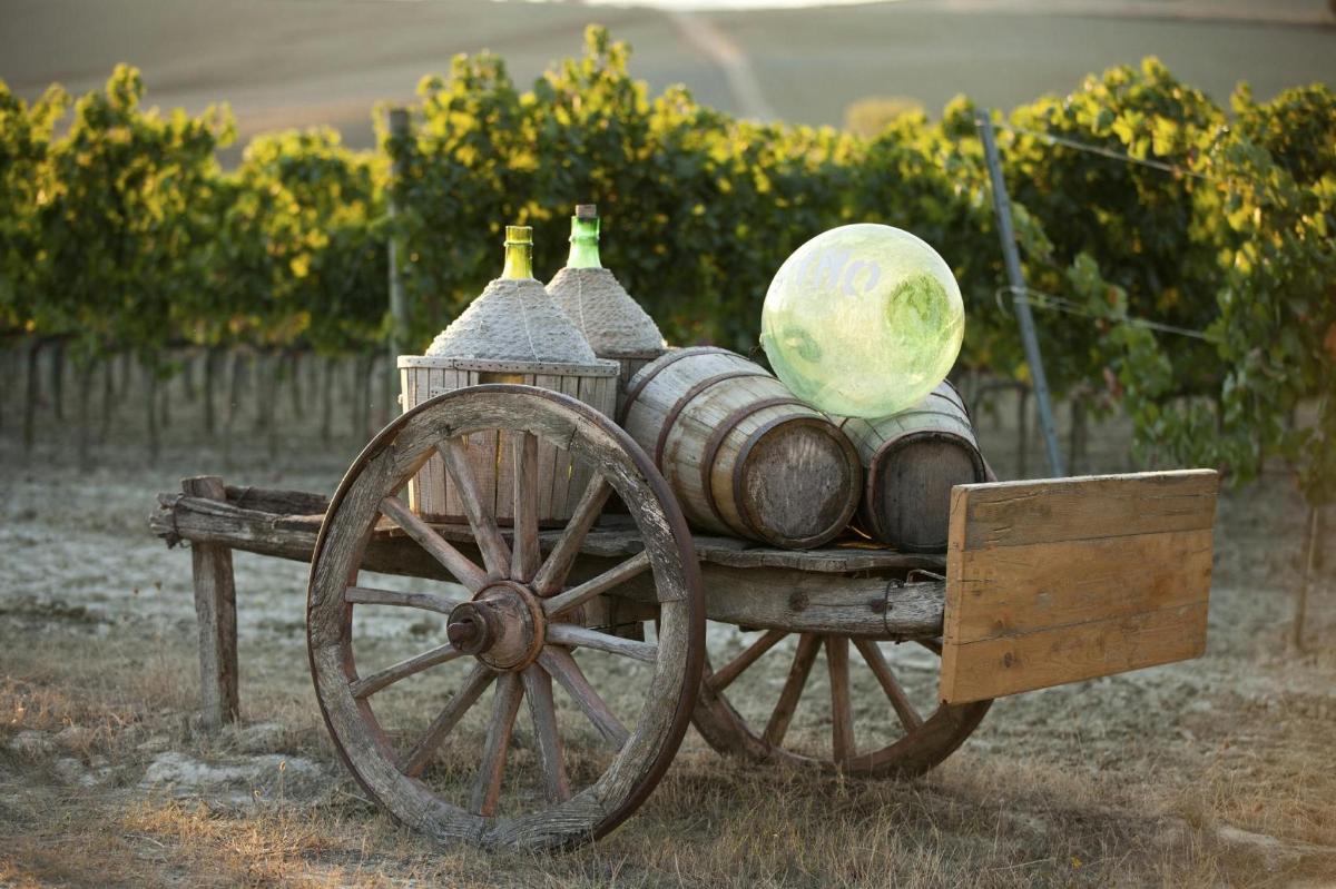 un carrello con bottiglie di vino sopra