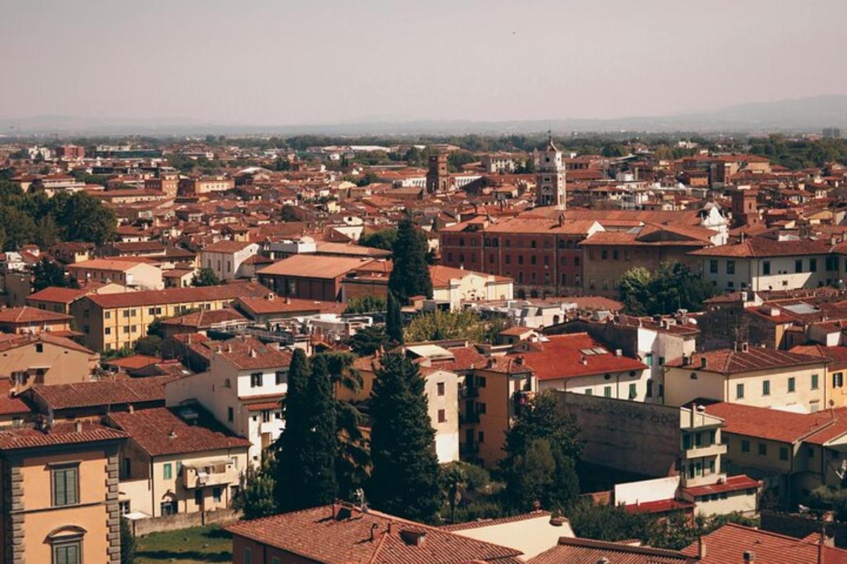 pogled na mesto s hišami in strehami