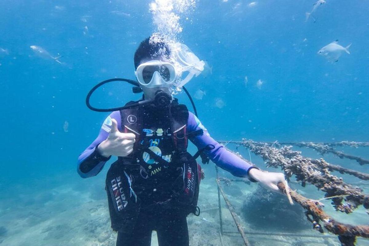 穿着潜水服的人和在水中的潜水员
